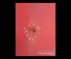 PARAURTI POSTERIORE OPEL INSIGNIA A FACELIFT BERLI - 7