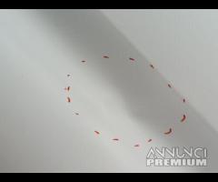 PORTA PORTIERA SCORREVOLE  SX FORD TRANSIT 2018 18 - 19