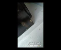 PORTA PORTIERA POSTERIORE DESTRA SKODA FABIA III 2 - 13