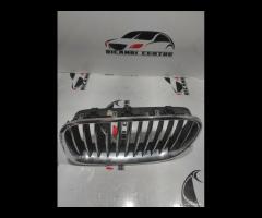 GRIGLIA PARAURTI SINISTRA BMW SERIE 5 F10 2011 720