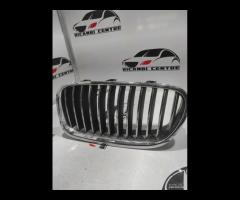 GRIGLIA PARAURTI SINISTRA BMW SERIE 5 F10 2011 720