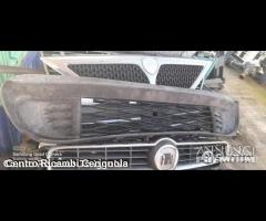 Mascherine griglie auto plurimarche - 19