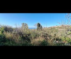 Roccavaldina, terreno agricolo pianeggiante circa - 12