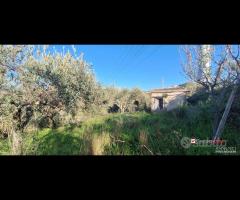 Roccavaldina, terreno agricolo pianeggiante circa - 19