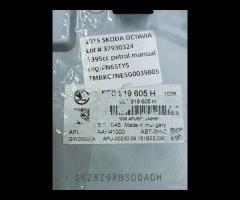 DISPLAY MULTIFUNZIONE COMPUTER DI BORDO SKODA OCTA - 19