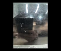 MODANATURA PILASTRO POSTERIORE C SX 2011 MINI COOP