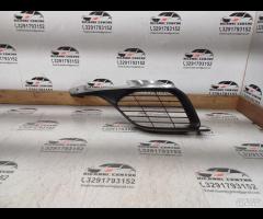 GRIGLIA PARAURTI ANTERIORE DX/MODANATURA CROMO 201