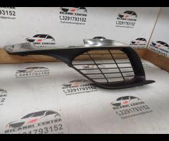 GRIGLIA PARAURTI ANTERIORE DX/MODANATURA CROMO 201