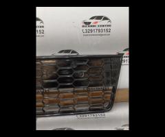 GRIGLIA PARAURTI ANTERIORE INFERIORE 2013 FORD FOC