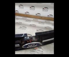 GRIGLIA ANTERIORE SUPERIORE CENTRALE/EMBLEMA CROMA - 12