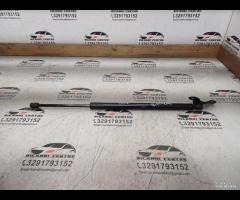 MOLLA A GAS/PISTONCINI PORTELLONE POSTERIORE 2019