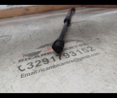 MOLLA A GAS/PISTONCINI PORTELLONE POSTERIORE 2019 - 14