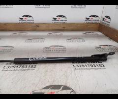 MOLLA A GAS/PISTONCINI PORTELLONE POSTERIORE 2019