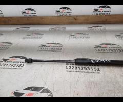 MOLLA A GAS/PISTONCINI PORTELLONE POSTERIORE 2019