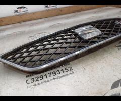 GRIGLIA RADIATORE PARAURTI ANTERIORE 2014 SEAT IBI - 7