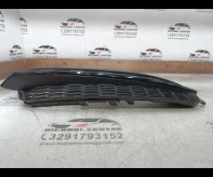 GRIGLIA PARAURTI FENDINEBBIA ANTERIORE DESTRA 2015 - 14