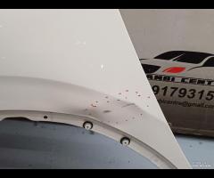 PARAFANGO ANTERIORE SINISTRA SX RENUALT KADJAR 201