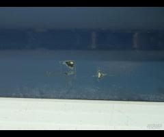 PORTA PORTIERA ANTERIORE SINISTRA AUDI A4 B7 B6 8H - 19