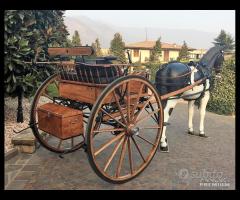 Carrozza Gig Bagozzi Bianchi GLINKOWSKI