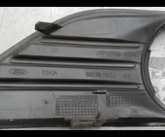 GRIGLIA FENDINEBIA ANTERIORE SINISTRA SX FORD FOCU - 12