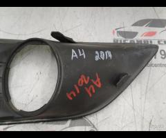 GRIGLIA FENDINEBIA ANTERIORE SINISTRA SX FORD FOCU - 18