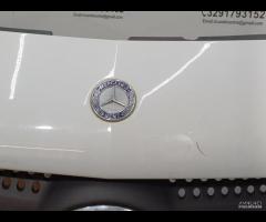 GRIGLIA RADIATORE ANTERIORE MERCEDES-BENZ CITAN 20