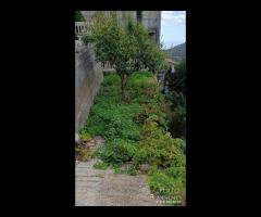 Ali',villa indipendente con ampio terreno, ottime - 15