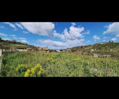Villafranca,terreno edificabile con comodo - 10