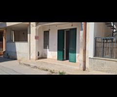 Selinunte casa ind. 4 vani in centro - 7