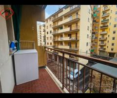 COLOGNA 34 - Tricamere per studenti - 22