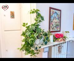 BORGO - Bilocale ristrutturato - 13