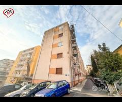 OLIVA - Bilocale in zona Burlo - 9