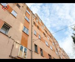 OLIVA - Bilocale in zona Burlo - 11