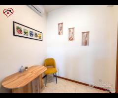 TIBULLO - Luminoso trilocale in zona centrale - 8