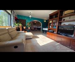 Cave, unifamiliare con giardino - 13