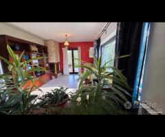 Cave, unifamiliare con giardino - 14