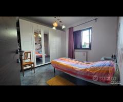 Cave, unifamiliare con giardino - 19