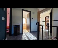 Cave, unifamiliare con giardino - 26