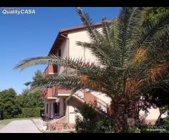 Soluzione immobiliare TRE appartamenti e annessi
