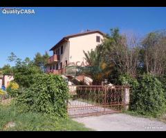 Soluzione immobiliare TRE appartamenti e annessi - 9