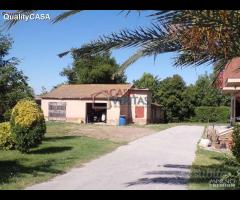 Soluzione immobiliare TRE appartamenti e annessi - 11