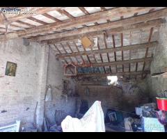 Soluzione immobiliare TRE appartamenti e annessi - 12