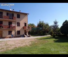 Soluzione immobiliare TRE appartamenti e annessi - 13