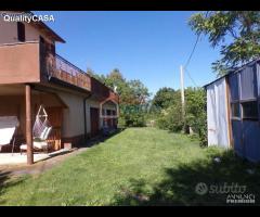 Soluzione immobiliare TRE appartamenti e annessi - 14