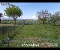 Casale con pozzo e terreno a jesi - 24