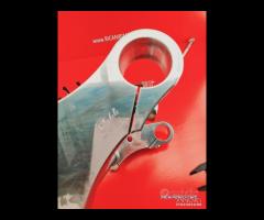 PIASTRE HARLEY DAVIDSON SOFTAIL - 10