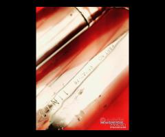 MARMITTE HARLEY DAVIDSON SHOVELHEAD - 10