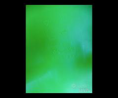 CARENE UFO KAWASAKI KX 125 250 500 - 8