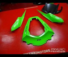 CARENA CODONE KAWASAKI ZX10R LEGGI