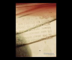 MARMITTA BMW F650CS F 650 CS - 20